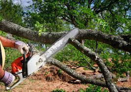 Reliable Monroe, WI Tree Removal and Landscaping Services Solutions